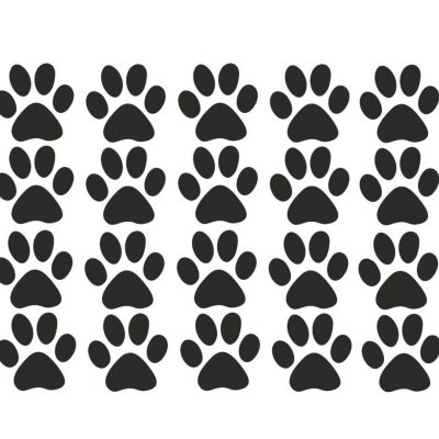 20 unidades "pata" cão