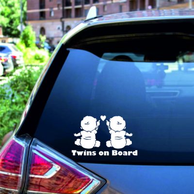 twins on board